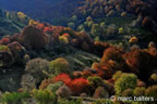 cevennes, automne, 2025,
